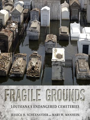 cover image of Fragile Grounds